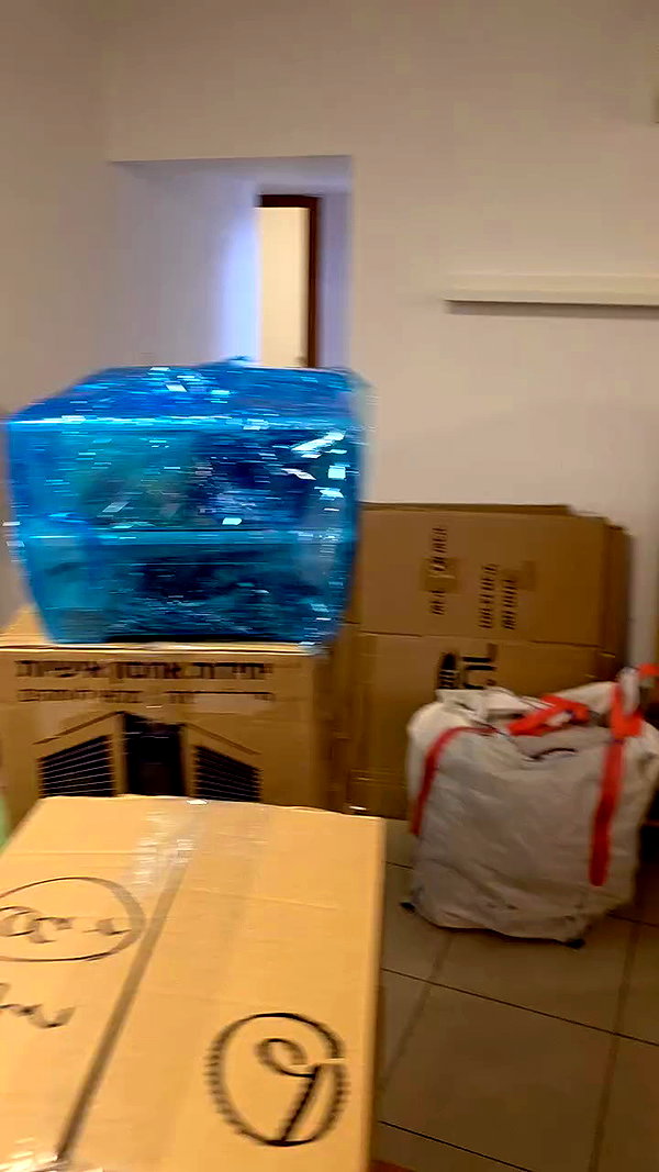 oleg.hovalot archive video preview