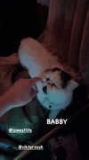 carolinesometimes Altpins Profile Picture