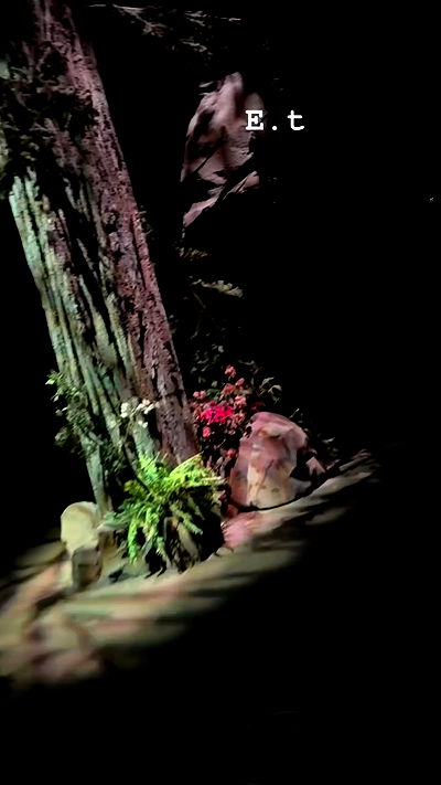 biton__adi biton__adi archive video