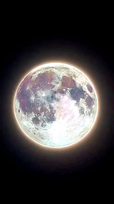 liashaked liashaked archive video