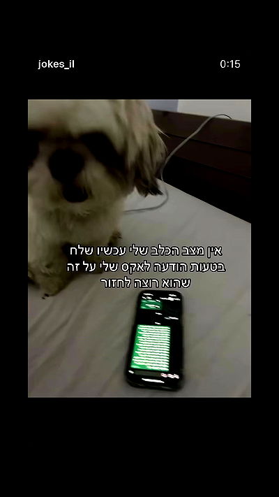 _lil_noa_ _lil_noa_ archive video