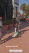 jenny.kaly Altpins Profile Picture