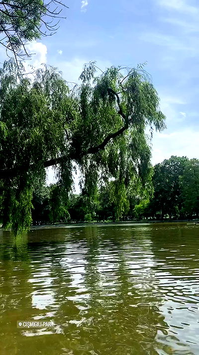 tuliish_ tuliish_ archive video