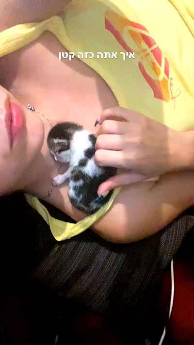 yam_adler yam_adler archive video