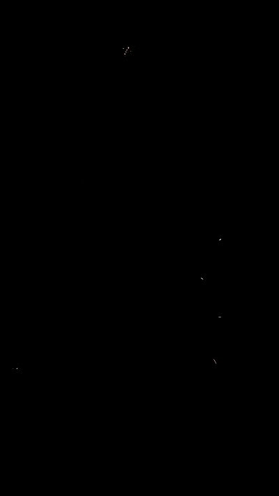 alisa.paigin alisa.paigin archive video