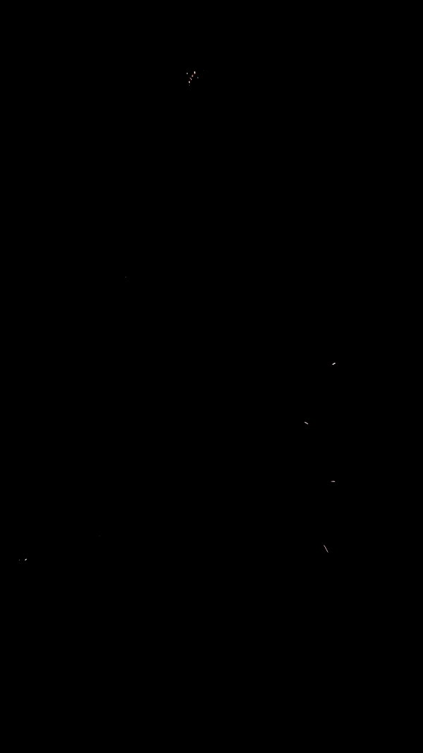 alisa.paigin archive video preview