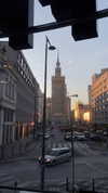 ksenia_ulitina Altpins Profile Picture