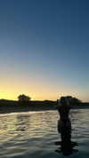 _kayleewray_ Altpins Profile Picture