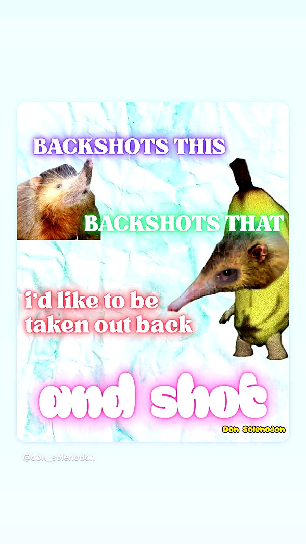 leighbunbun archive video preview