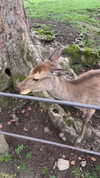 katie_westwood Altpins Profile Picture
