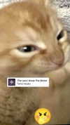 cellow111 Altpins Profile Picture