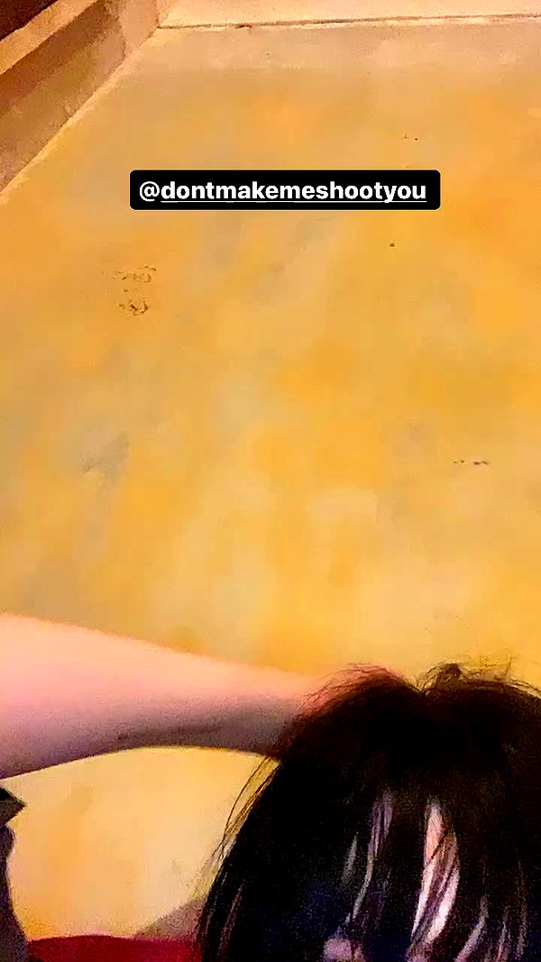 zaperwave archive video preview