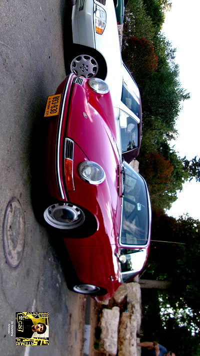 simp_for_cats_ simp_for_cats_ archive video