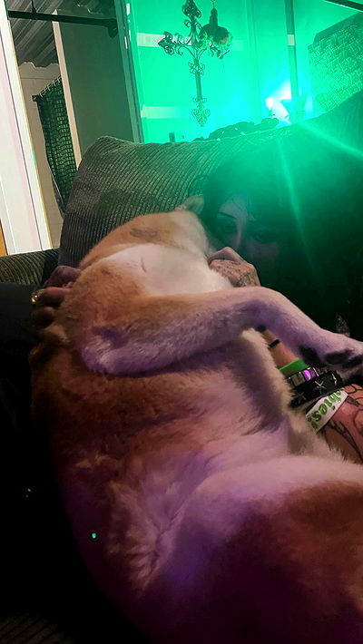 zommmbri zommmbri archive video