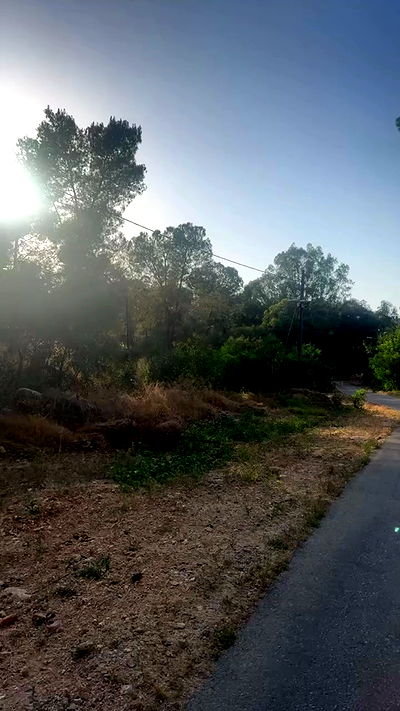 moonliliaght moonliliaght archive video