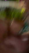 sommerray Altpins Profile Picture