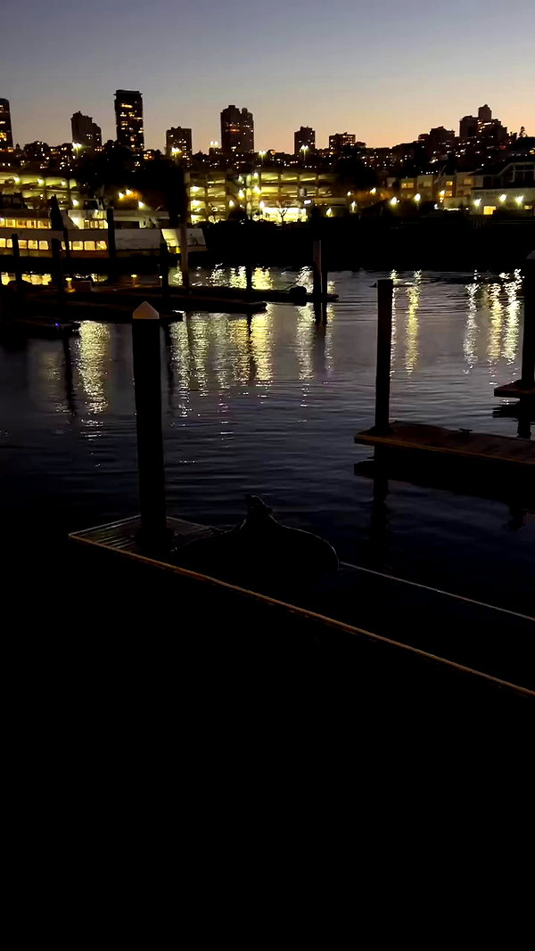 elsgatti archive video preview