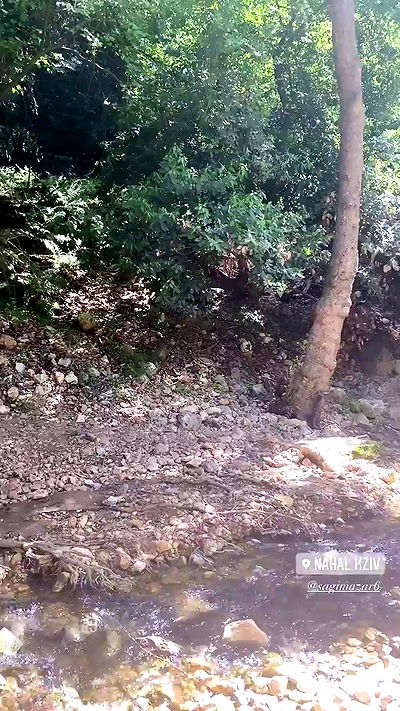 liad.arazi liad.arazi archive video