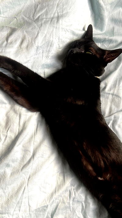 feelbetterinmysweater feelbetterinmysweater archive video