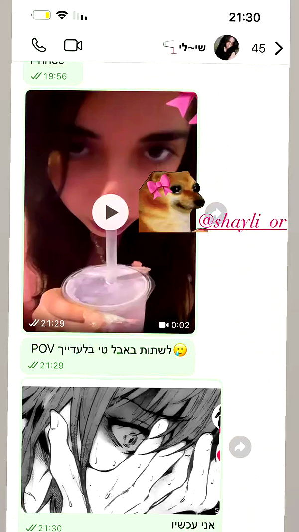 hellowkitty4ever archive video preview