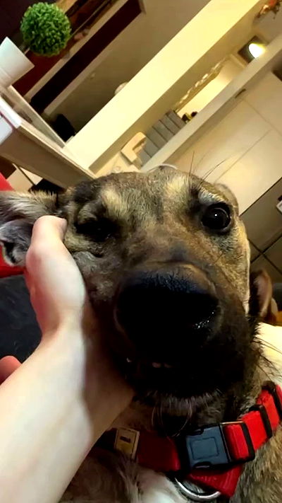 moonliliaght moonliliaght archive video