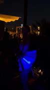 alishenyka Altpins Profile Picture