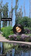zz.eazoning Altpins Profile Picture