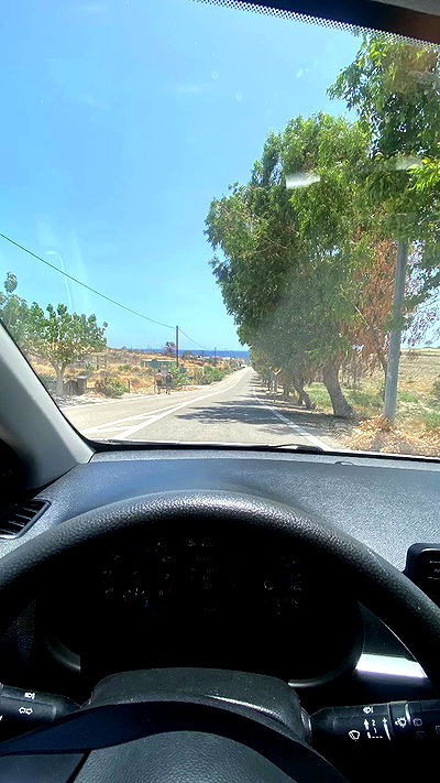 yam_adler yam_adler archive video