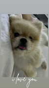 mayedri1 Altpins Profile Picture