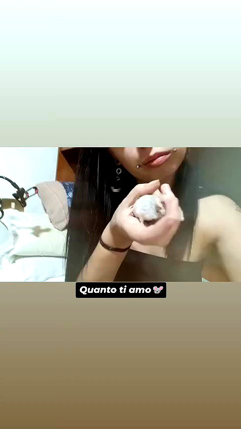 eritek._ archive video preview