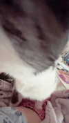 kriiizellda Altpins Profile Picture