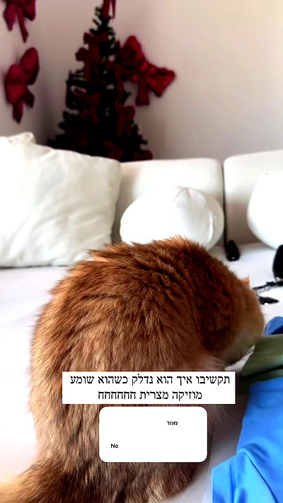 itsilanosh itsilanosh archive video