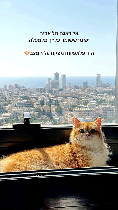 itsilanosh itsilanosh archive video