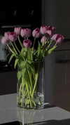 ngha_nhi Altpins Profile Picture