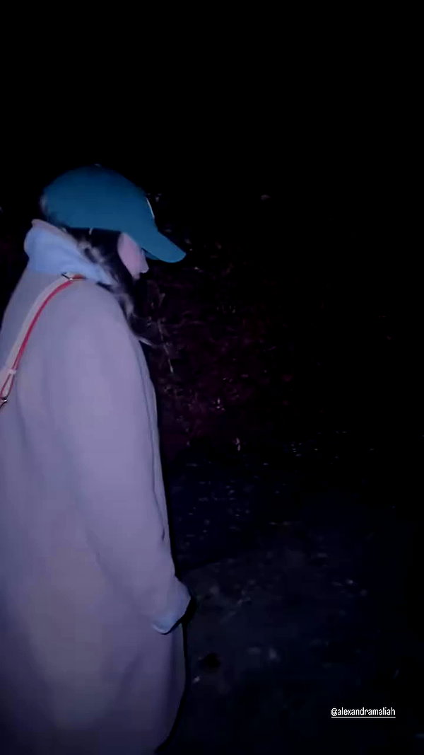 taylorballarddd archive video preview