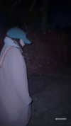 taylorballarddd Altpins Profile Picture