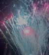 pauuuferreira_ Altpins Profile Picture