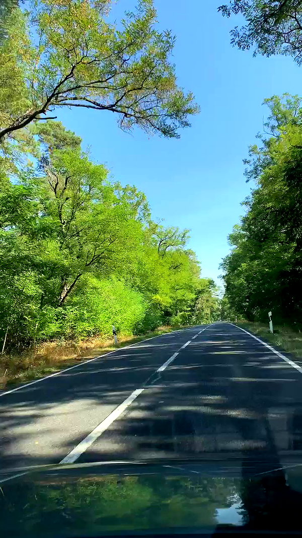 mikaya.mia archive video preview