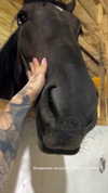 caandyfliip Altpins Profile Picture