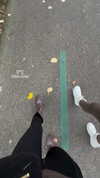 shirin_danin Altpins Profile Picture