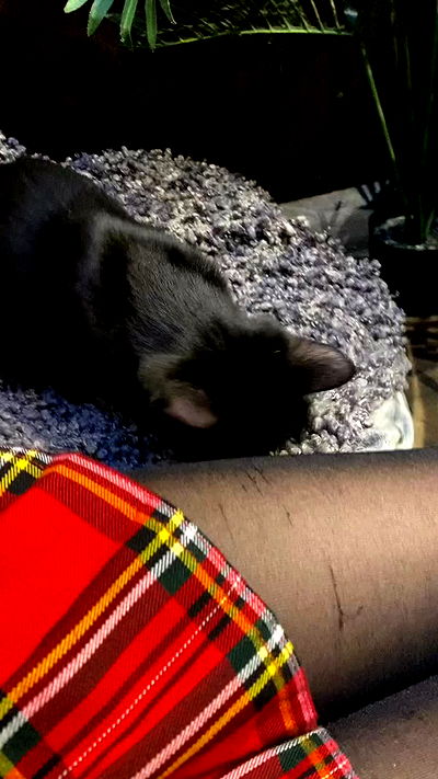 yungbratzh yungbratzh archive video