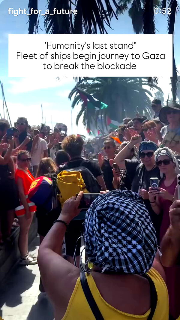 kittynacre archive video preview