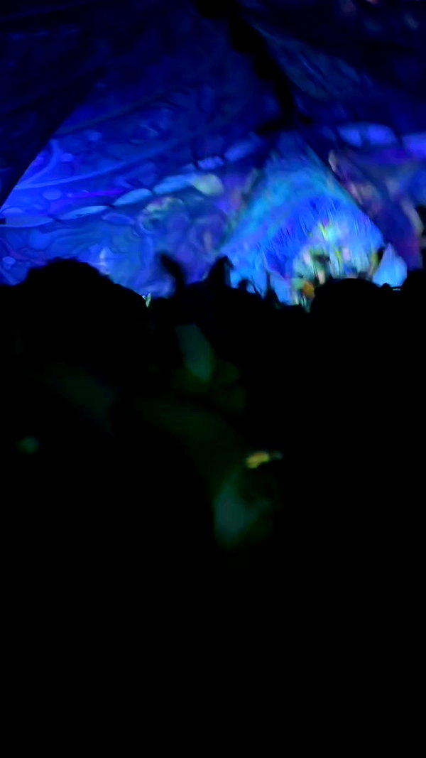 noa_mendel_ archive video preview