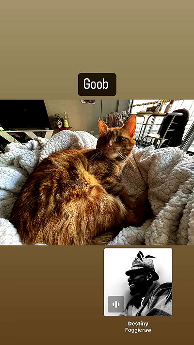 winbun.io winbun.io archive video