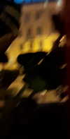emily_new2 Altpins Profile Picture