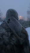 dankathetraveller Altpins Profile Picture