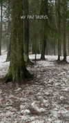 ayguldavlletova Altpins Profile Picture