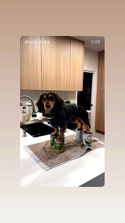 _._dianush._ _._dianush._ archive video