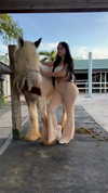 jailyneojeda Altpins Profile Picture