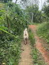 esmenguyennn Altpins Profile Picture